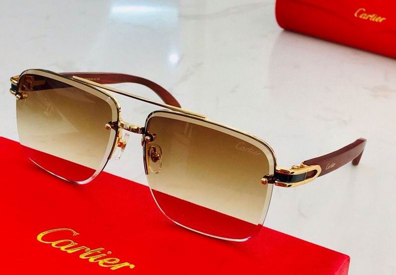 Lunettes Cartier [M. 6] - Cliquez sur l'image pour la fermer