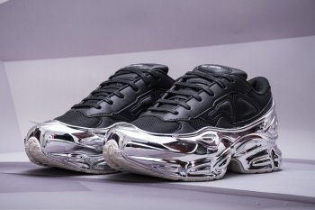 adidas Ozweego Raf Simons Metallic [X. 3]