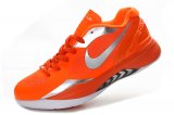 Zoom HyperDunk LOW 41-46[Ref. 05]