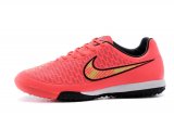 MAGISTA ONDA TF [R. 1]