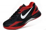 Zoom HyperDunk LOW 41-46[Ref. 04]